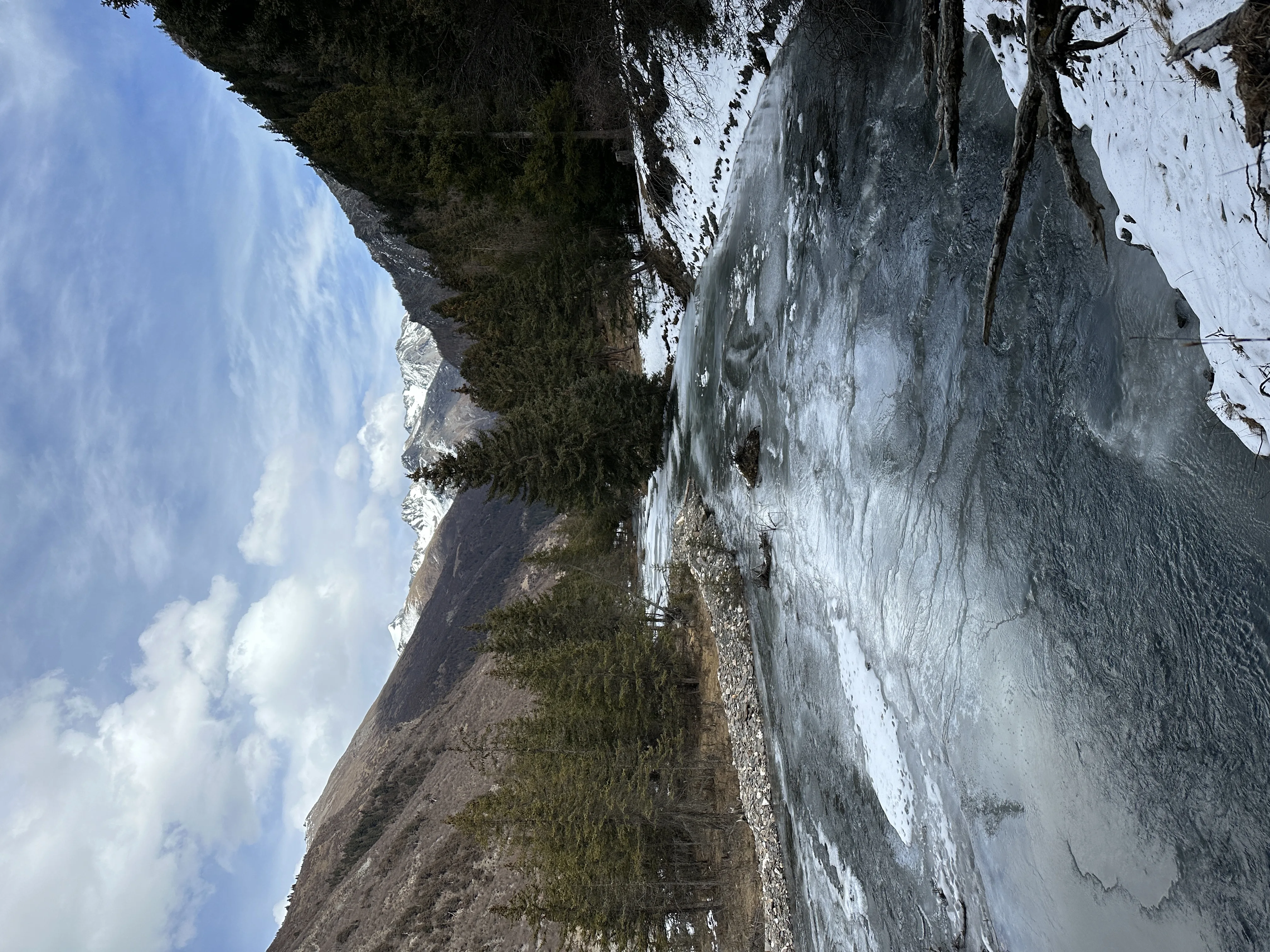 四川冰封溪流与雪山松林