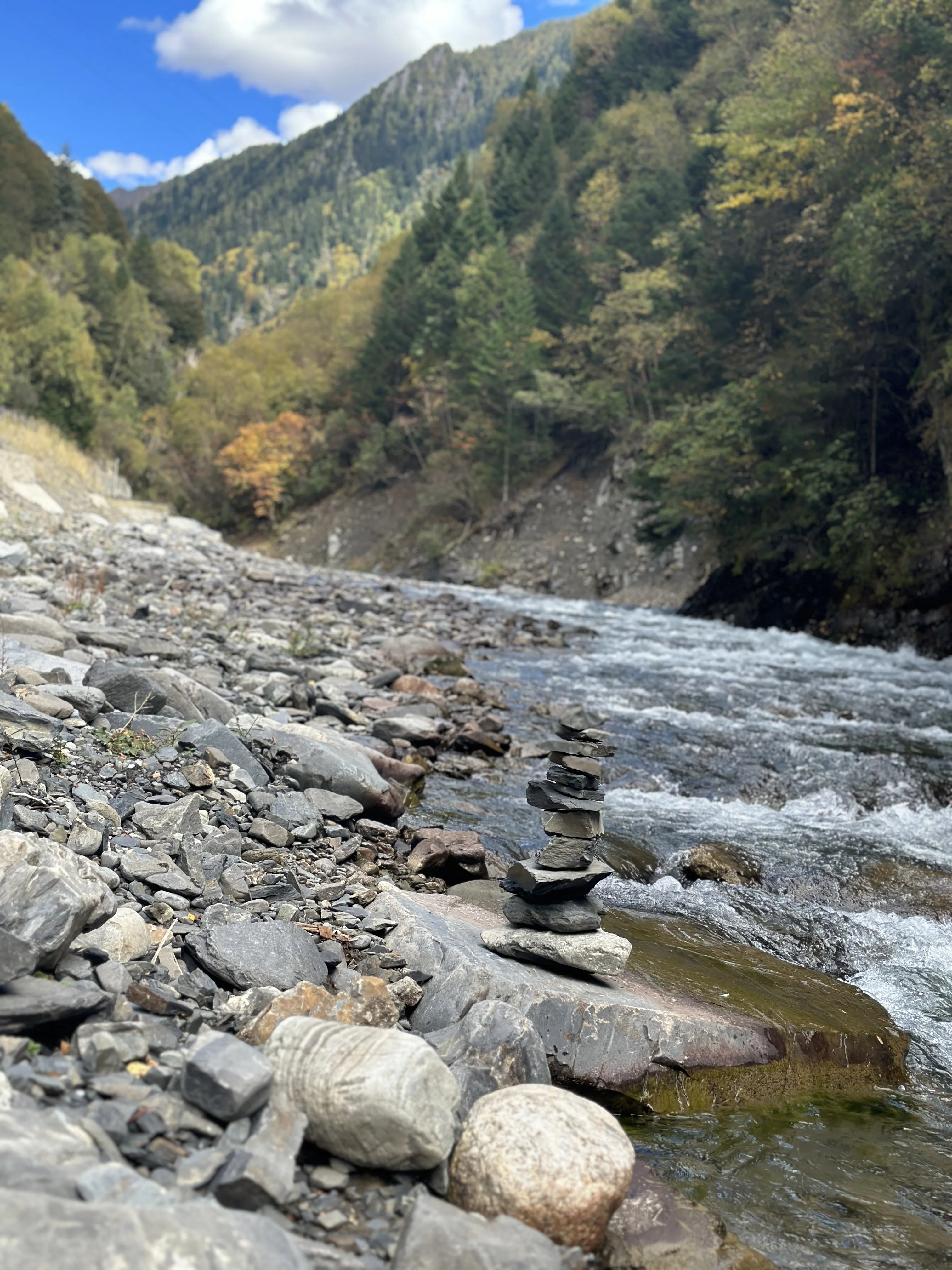 四川溪流边的石堆与秋色山林