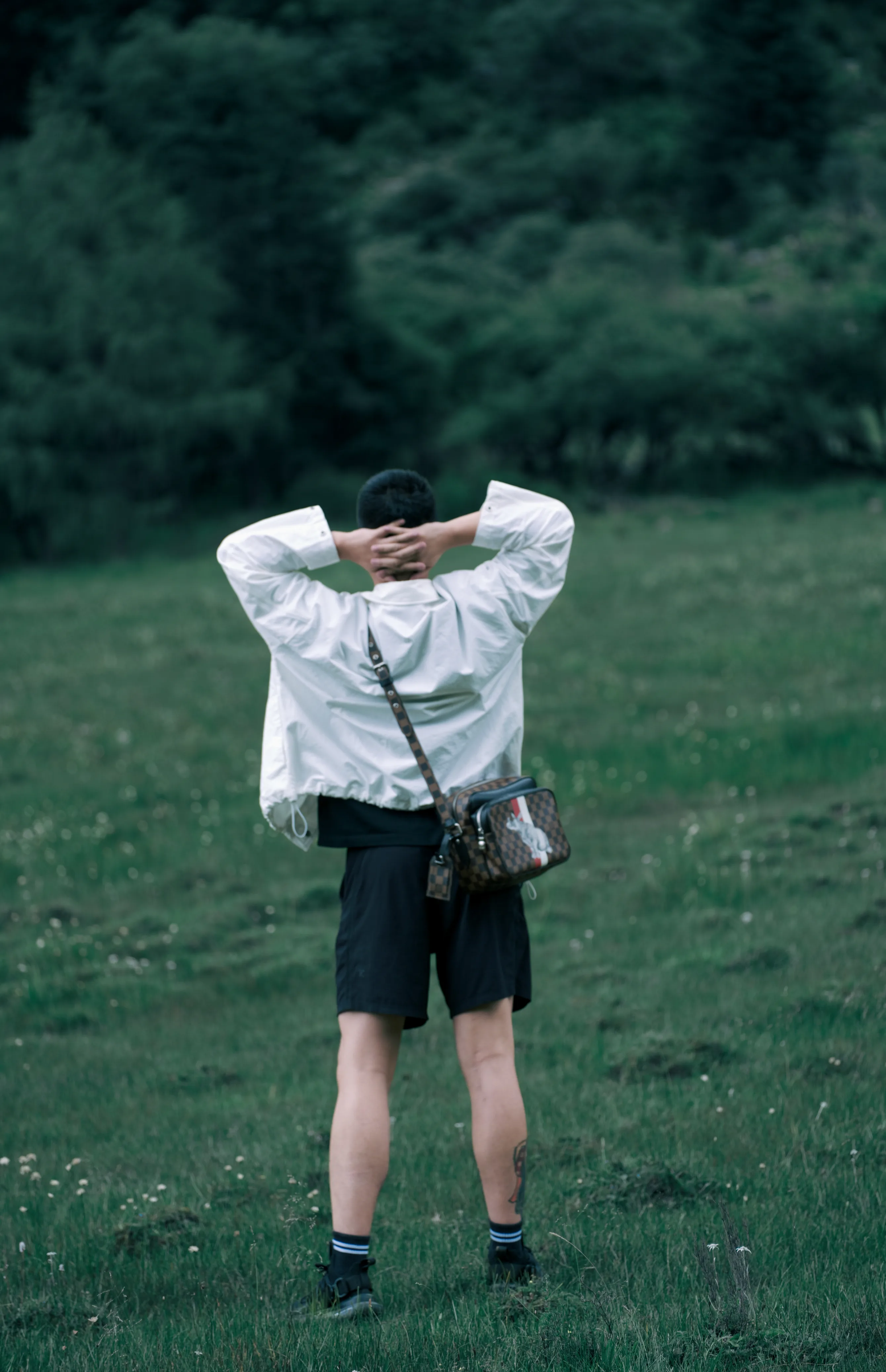 四川草地上背对镜头的男子