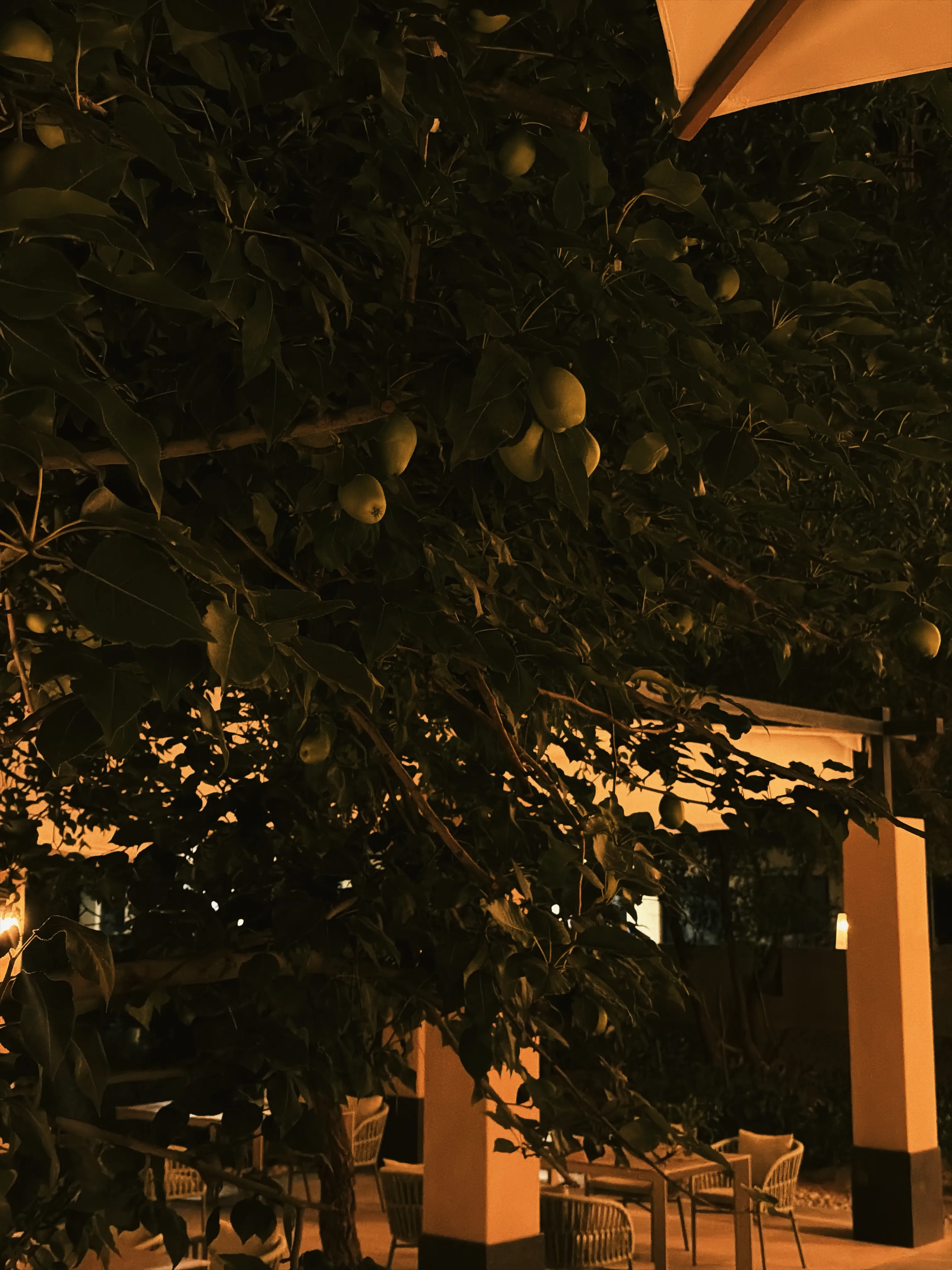 敦煌鸣沙山月牙泉