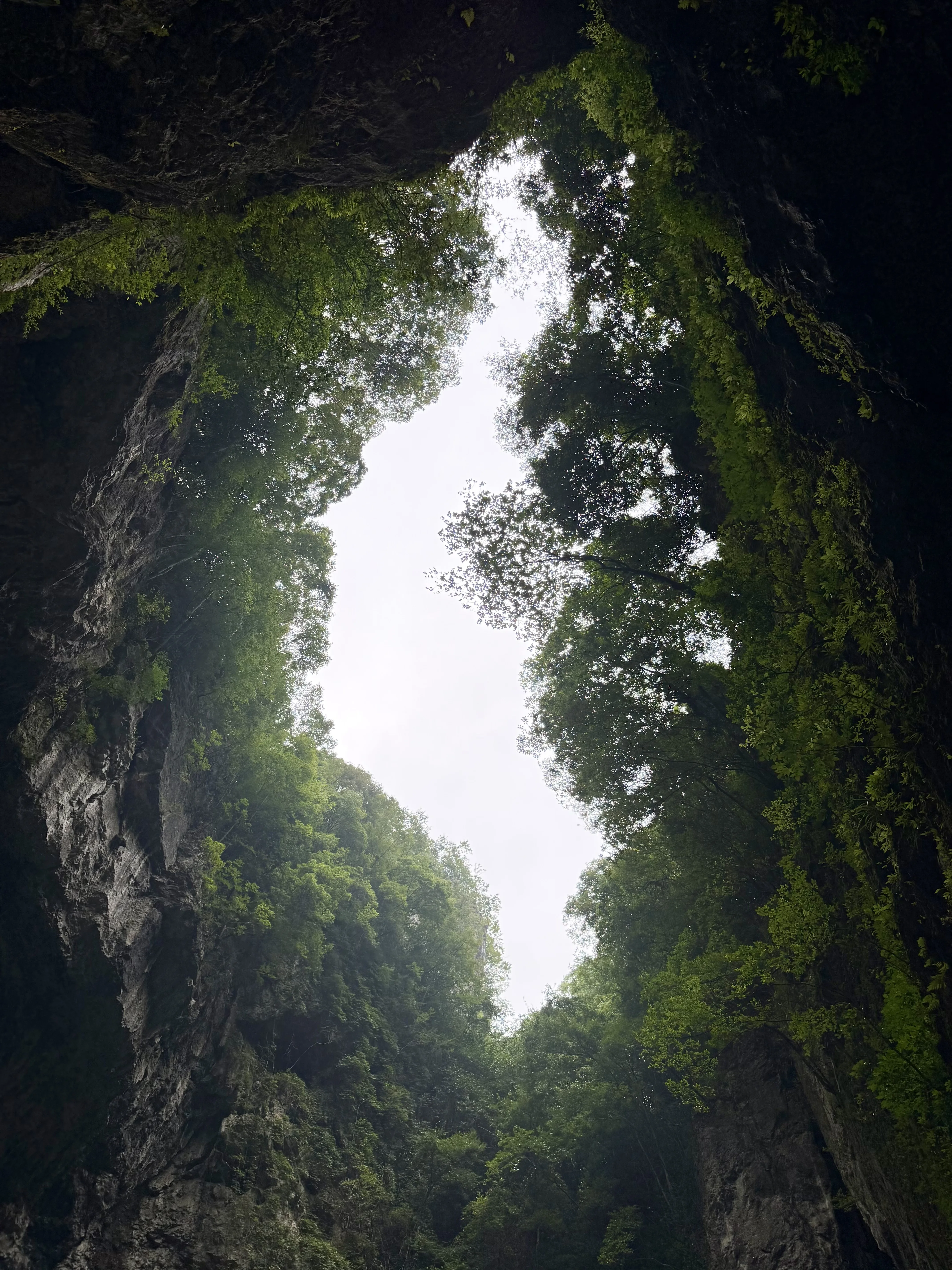 贵阳天坑俯瞰绿植岩壁