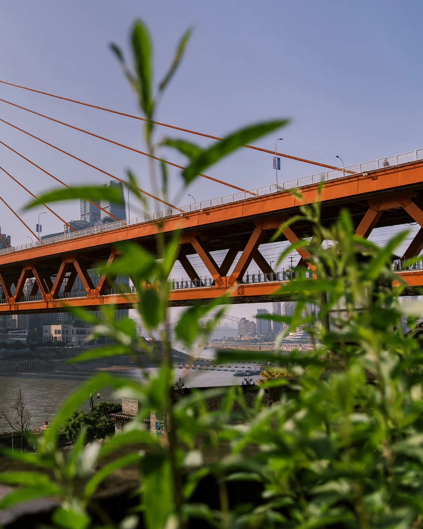 重庆绿植掩映的跨江大桥
