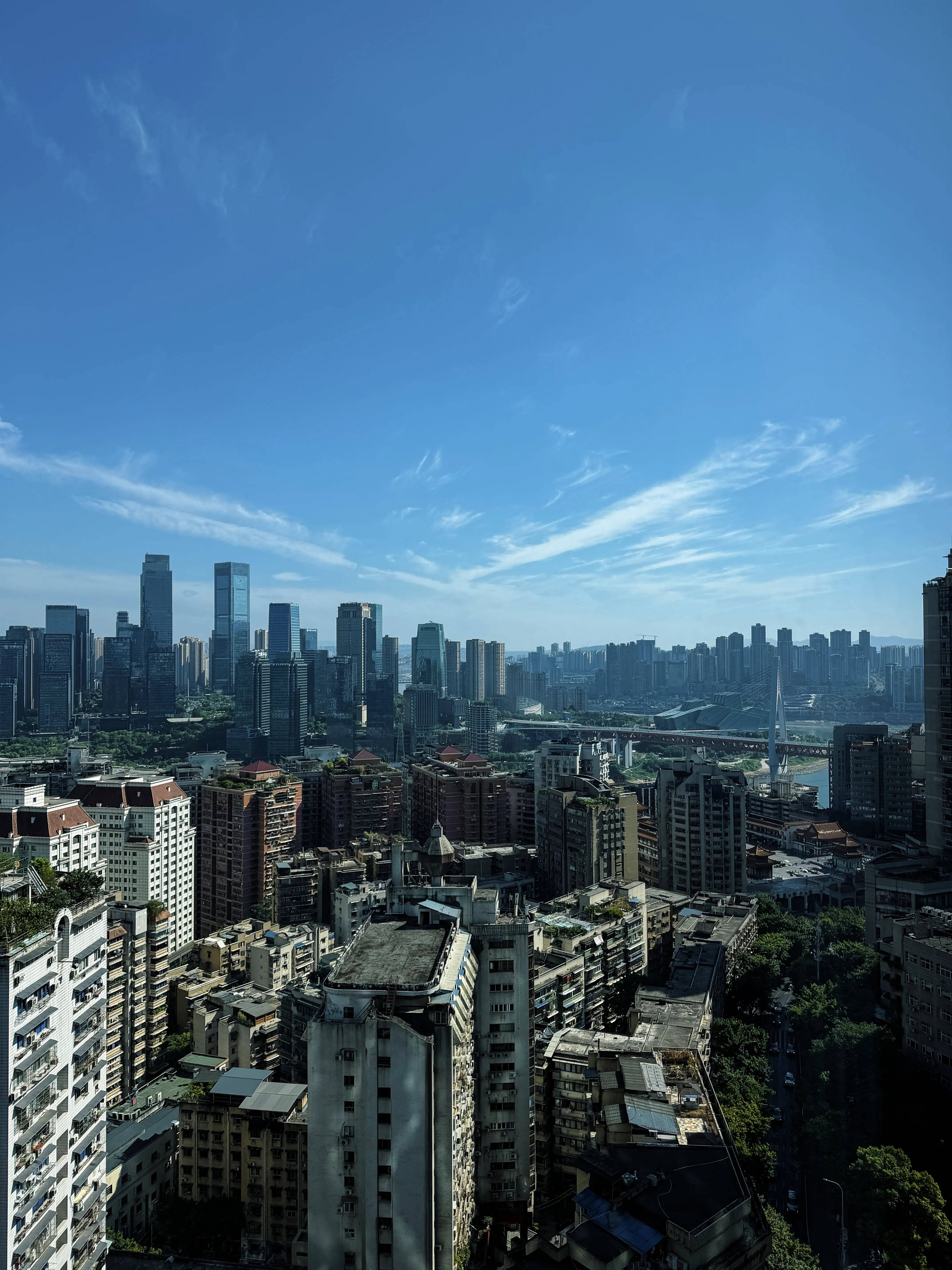 重庆城市全景天际线