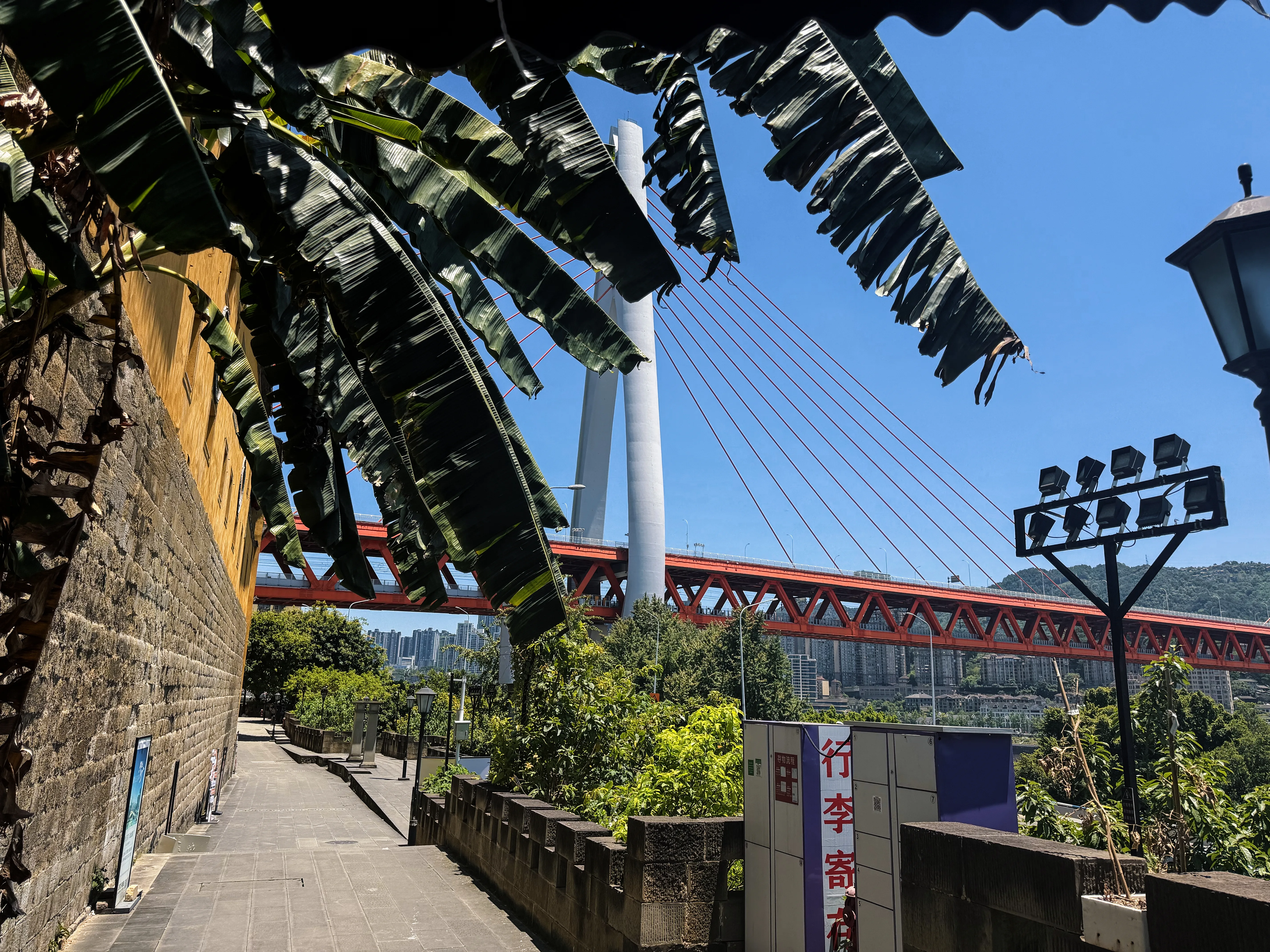 重庆江边步道与红色斜拉桥