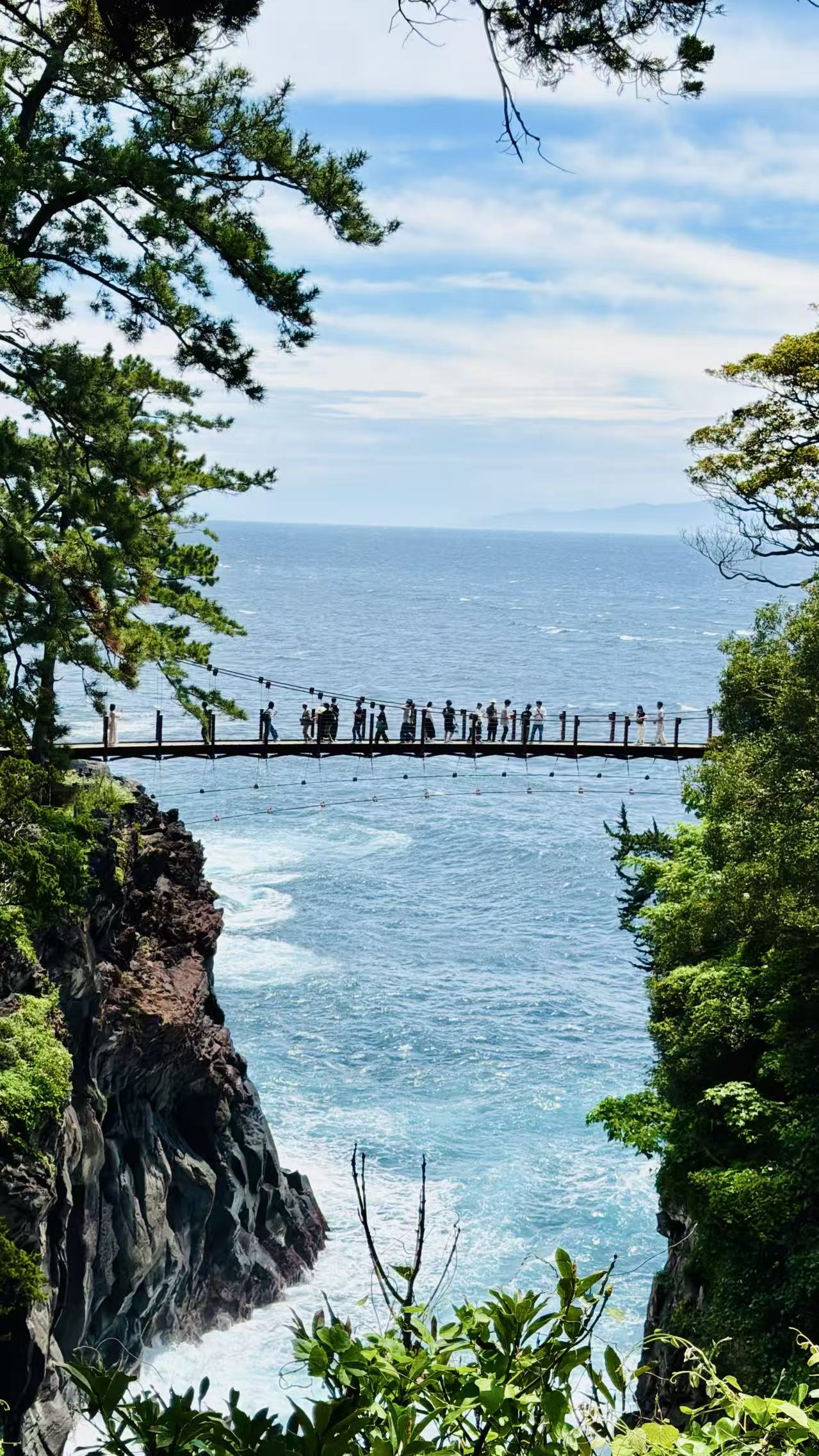 伊豆海岸与栈桥