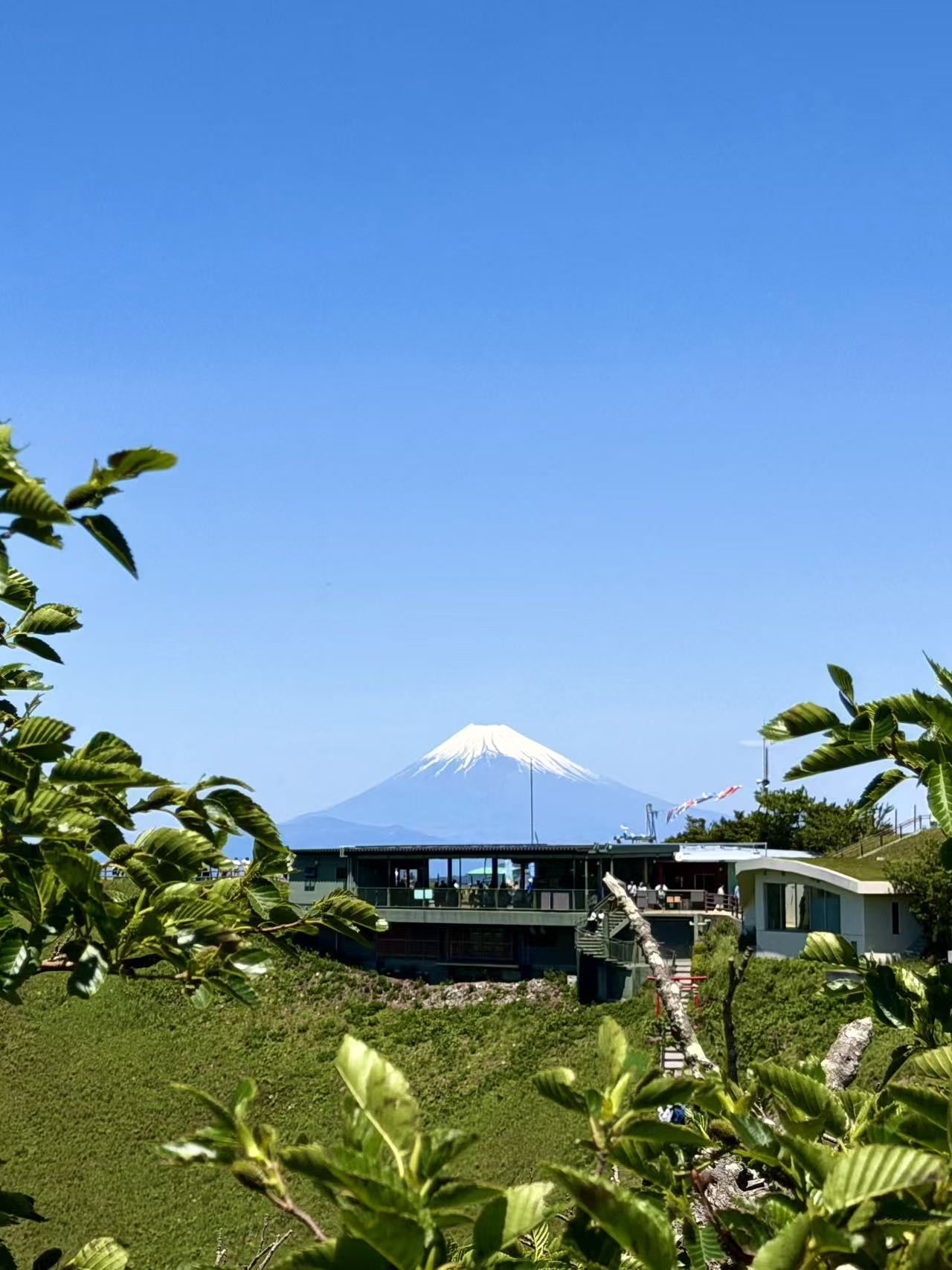 伊豆建筑与富士山