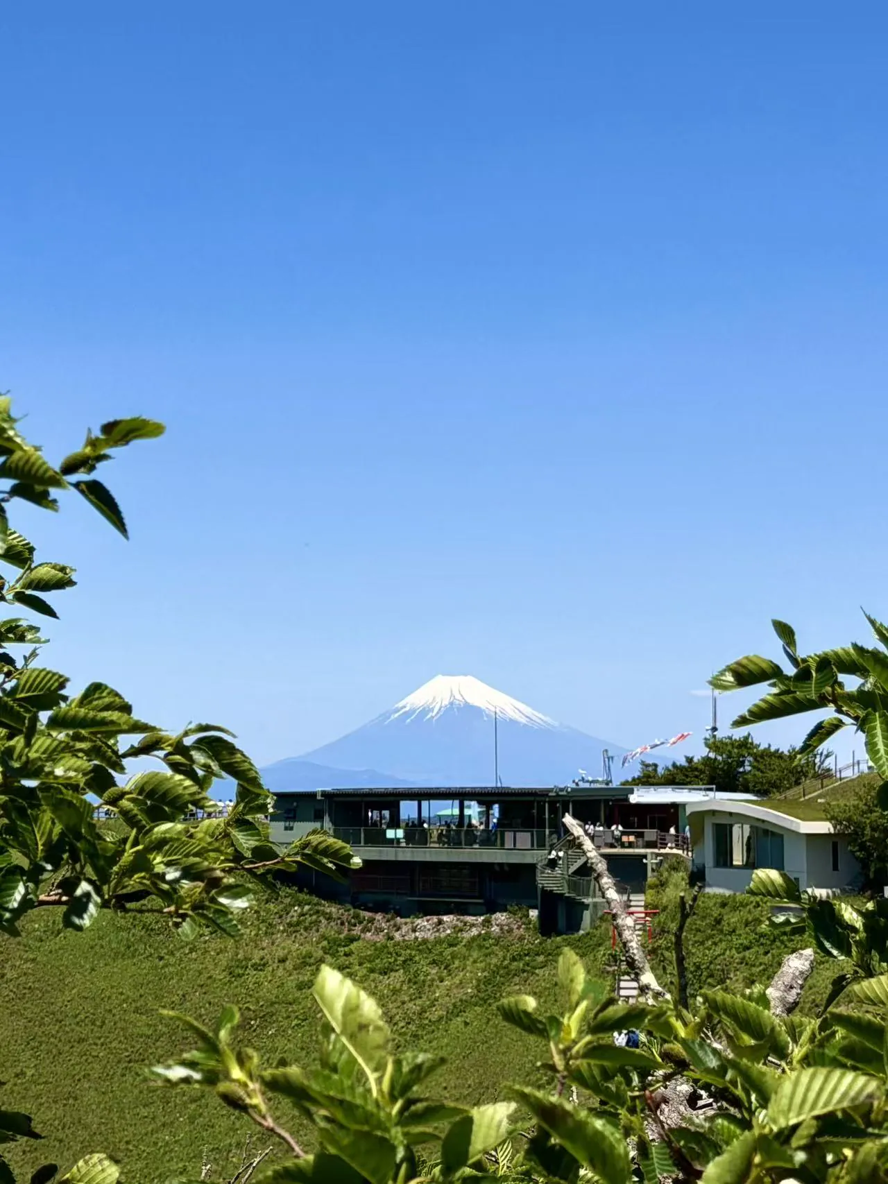 伊豆建筑与富士山