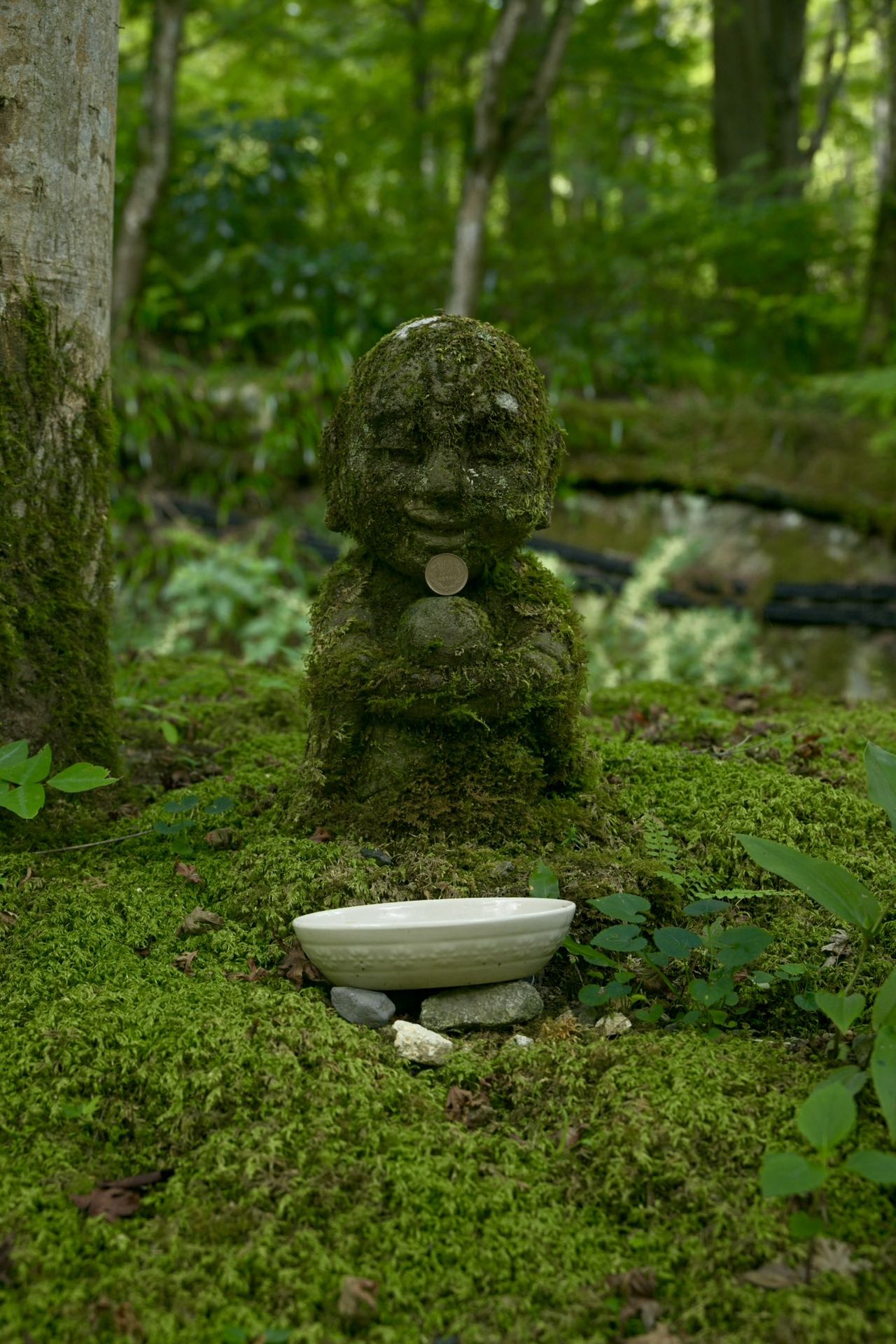 京都森林里的石像