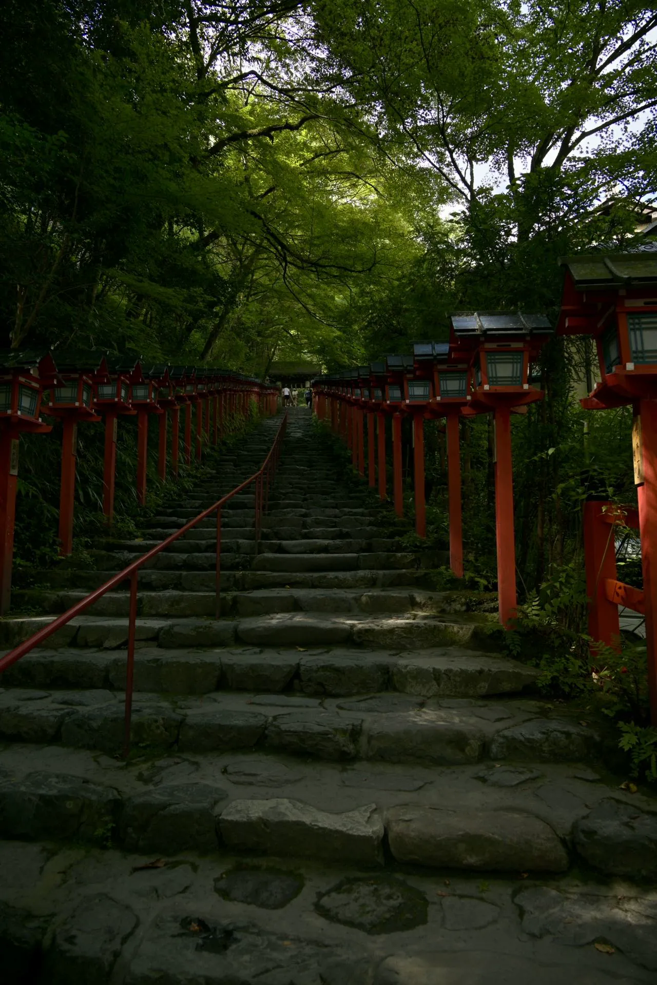 京都森林中的红色参道