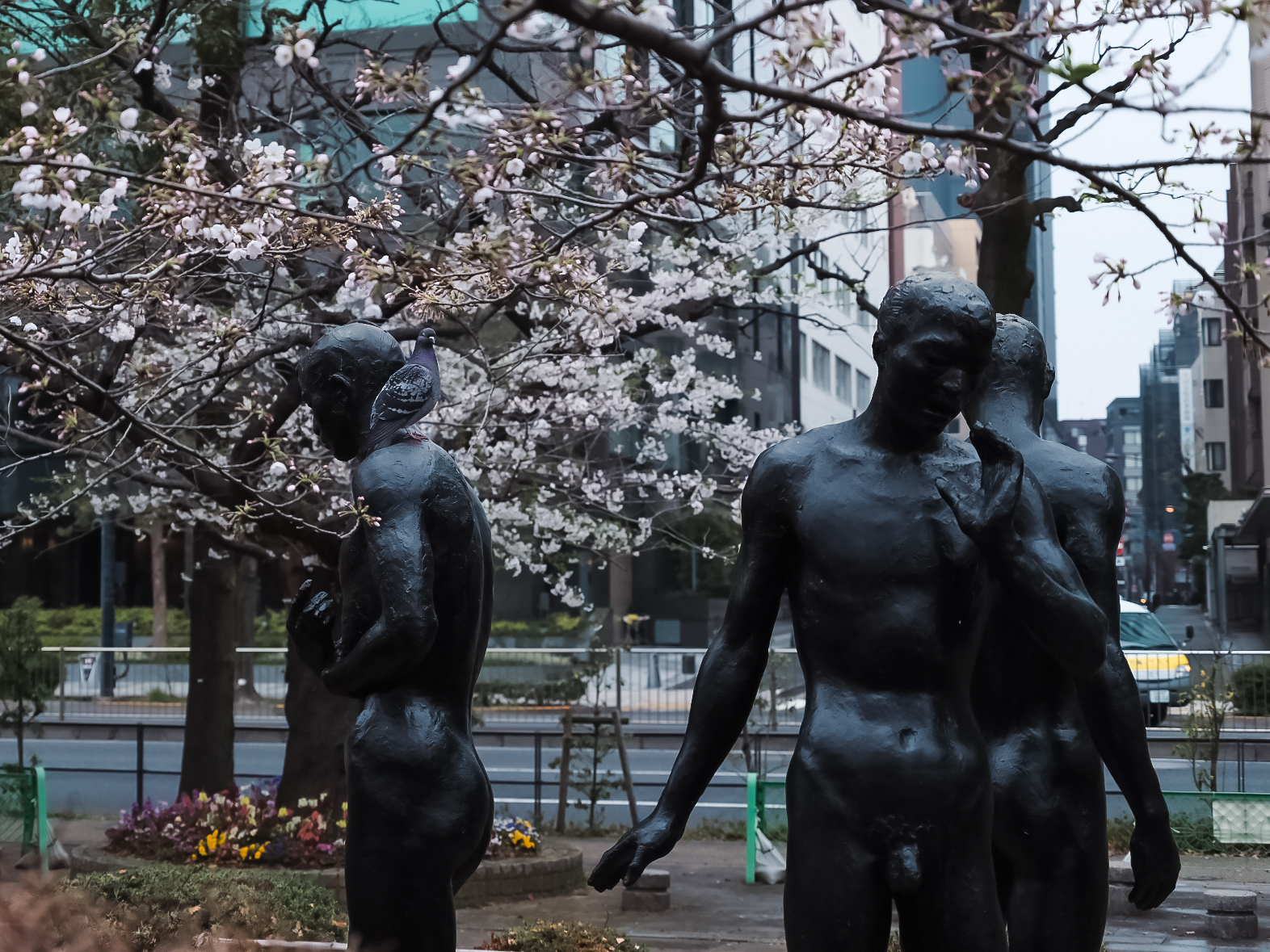 东京街头雕塑与樱花