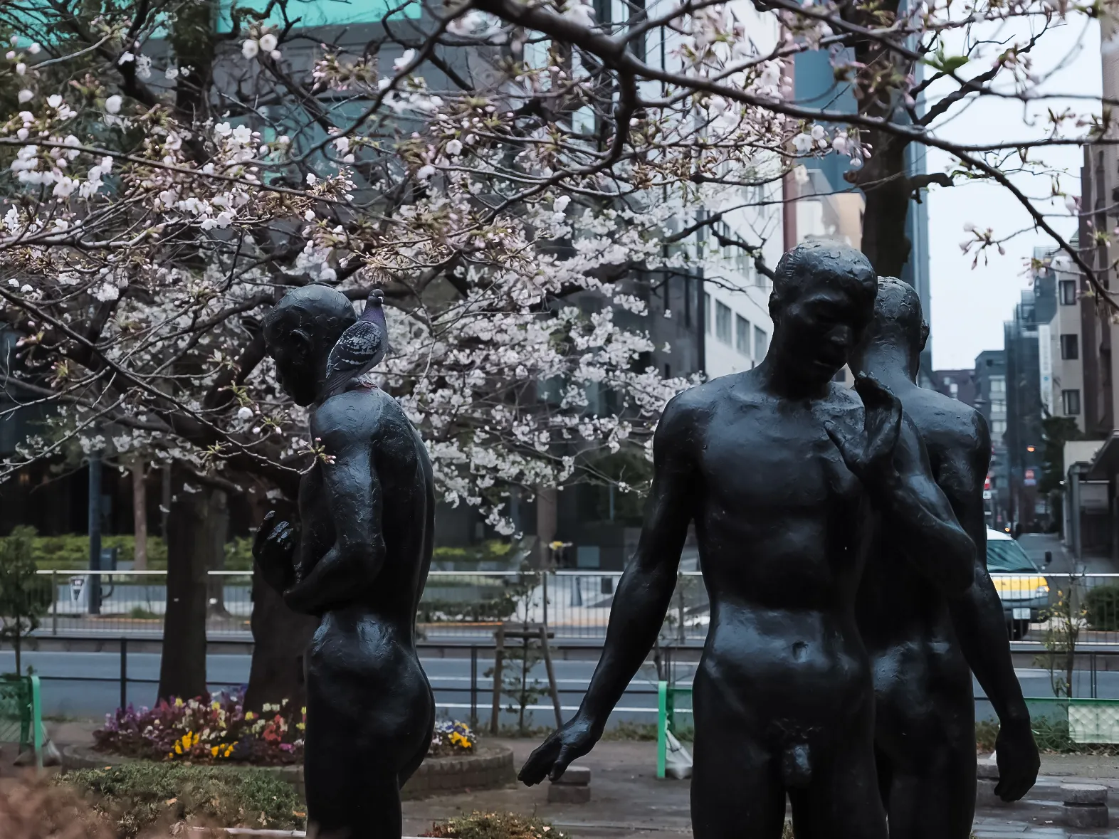 东京街头雕塑与樱花