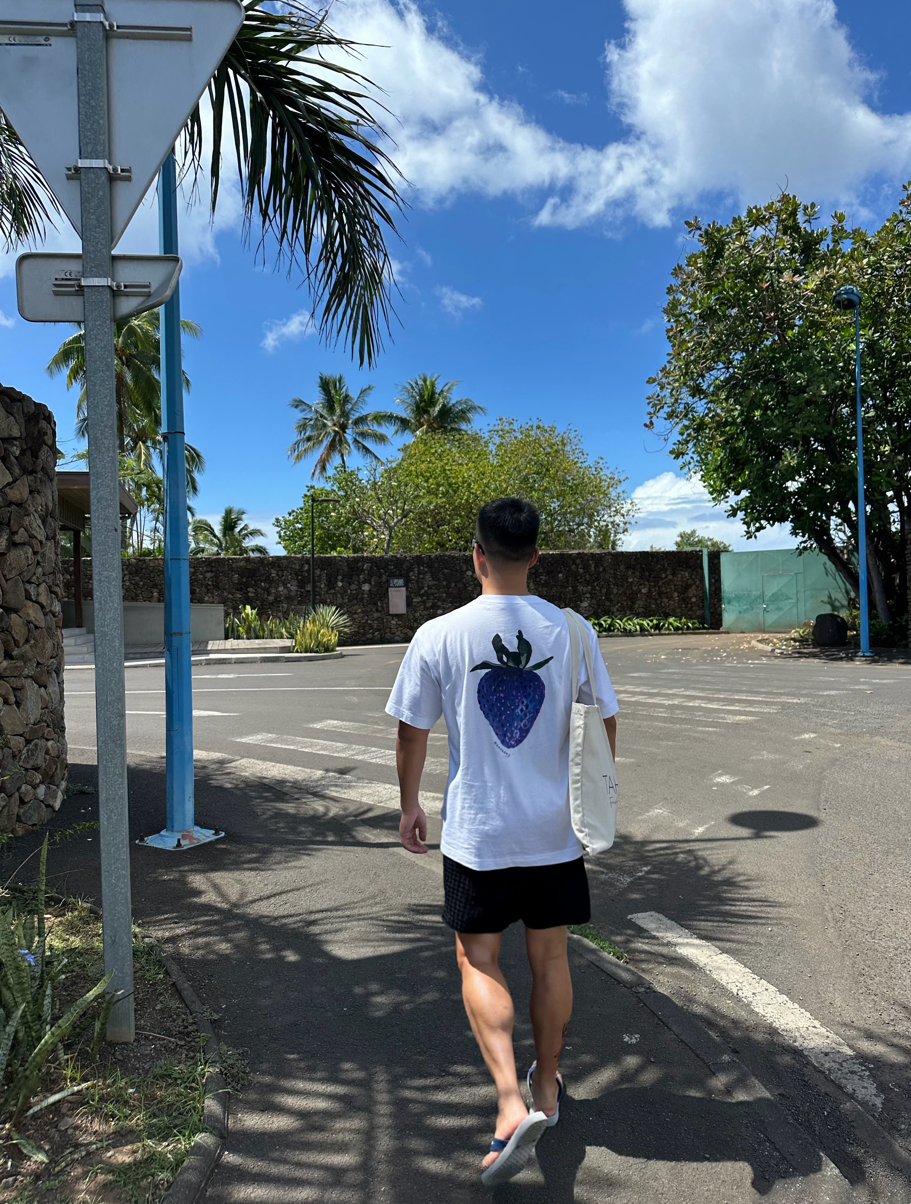 棕榈树下的岛上街道